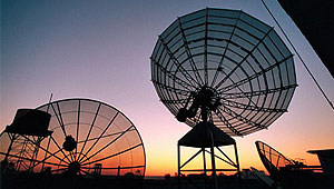 Ученые США раскрыли обман Пентагона Изображение: Дни.ру