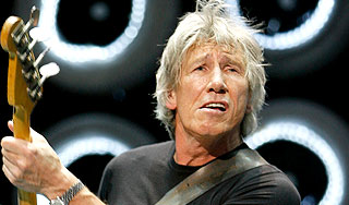 Свинью Pink Floyd объявили в розыск Изображение: Дни.ру