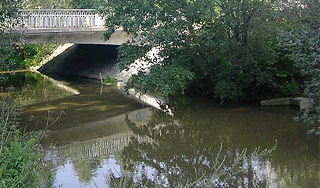 Половина российских рек отравлена химией Изображение: Дни.ру