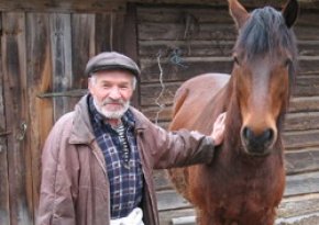 Брянская область - край непуганых угонщиков скота У жителя деревни Барсуки Василия Семенченко лошадь всегда под надежной охраной