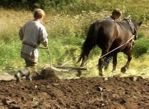 Чиновники оставили крестьян без земли