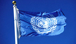 ООН обвинила Россию в сбитом самолете Изображение: Дни.ру