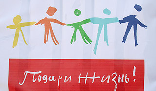 Звезды разрисовали больничный забор Изображение: Дни.ру