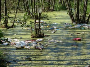 Что нужно, чтобы убрать грязь Фото пресс-службы УВД по Брянской области