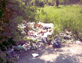 Брянские парки и скверы заброшены Свалка мусора в Бежицком парке