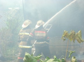 Семь пожаров произошло за сутки в Брянской области