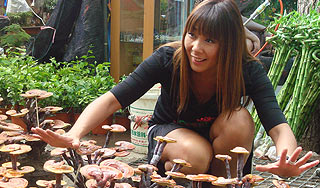 Анита Цой лечится волшебными грибами Анита Цой лечится волшебными грибами / Изображение: Дни.ру