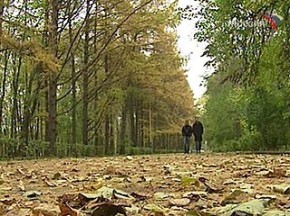 В Брянской области ожидаются заморозки