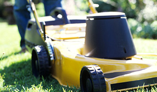 У Жореса Алферова украли газонокосилку У Жореса Алферова украли газонокосилку