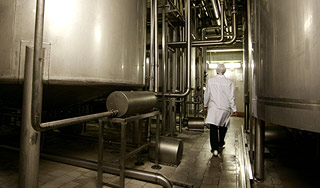 Выброс аммиака убил петербуржца Выброс аммиака убил петербуржца