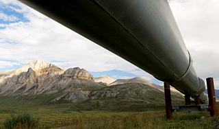 Чукотка взбунтовалась против США Чукотка взбунтовалась против США