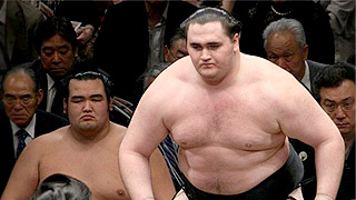 Российский сумоист сдавал бои за деньги Российский сумоист сдавал бои за деньги