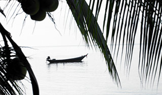 Россияне полюбили экзотический отдых Россияне полюбили экзотический отдых