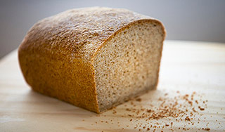 Россия готова спасти мир от голода Россия готова спасти мир от голода