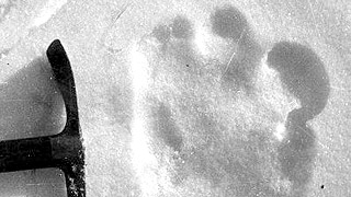 Охотник напал на след снежного человека Охотник напал на след снежного человека