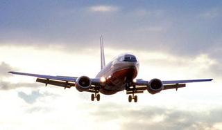 Пассажирский Boeing-737 столкнулся с птицей Пассажирский Boeing-737 столкнулся с птицей