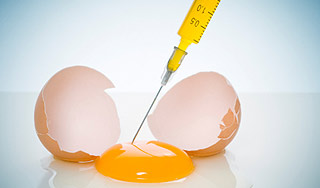 Китайские яйца угрожают россиянам Китайские яйца угрожают россиянам