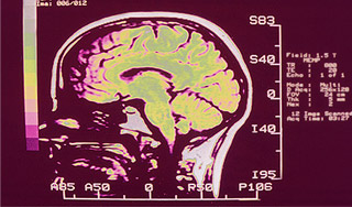 Неприятные воспоминания можно уничтожить Неприятные воспоминания можно уничтожить