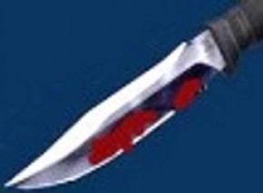 Убийца получила одиннадцать лет лишения свободы