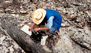 ������ ��������� ���� �������