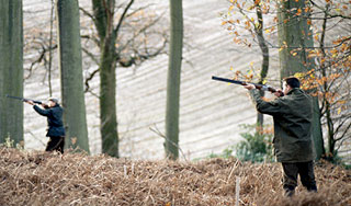 ������� ���� �������� ������ �������