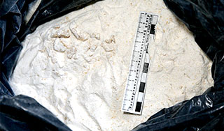 �� ������� ������� ����������� � ��������