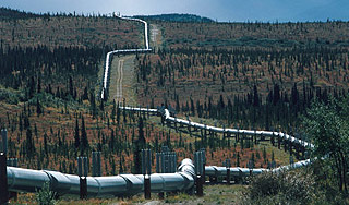 Испания хочет добывать российский газ Испания хочет добывать российский газ