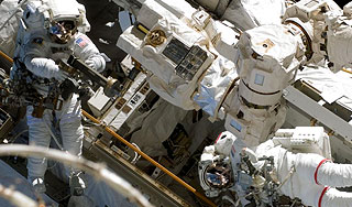 NASA потеряло на МКС специального паука NASA потеряло на МКС специального паука