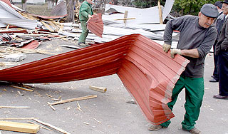 В Москве сосчитали жертв урагана В Москве сосчитали жертв урагана