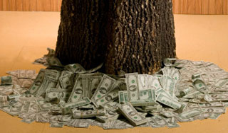 ������� ���� ��������� ���������� �������