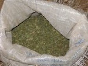 Почти 10 кг наркотиков изъято из незаконного оборота