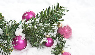 В Москву привезут главную елку страны В Москву привезут главную елку страны