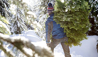 Новый Год несет угрозу россиянам Новый Год несет угрозу россиянам