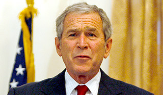 Джордж Буш нашел занятие для пенсии Джордж Буш нашел занятие для пенсии