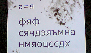 Женская банда похитила парня Женская банда похитила парня