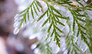 В Москве потеплеет на 14 градусов В Москве потеплеет на 14 градусов