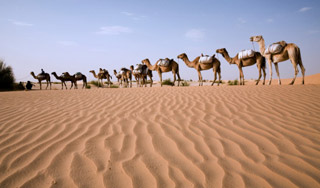 Россия будет добывать газ в Африке Россия будет добывать газ в Африке