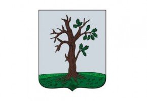 За счет регионального бюджета благоустроят лучший по итогам года райцентр - город Стародуб Герб города Стародуб