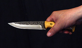 Россиянина посадили за убийство кота Россиянина посадили за убийство кота