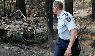 Австралия ищет поджигателей-убийц Австралия ищет поджигателей-убийц