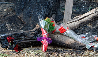 В Австралии пожары сменили наводнения В Австралии пожары сменили наводнения