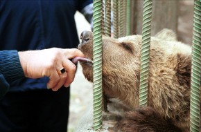 В Брянске голос за «Единую Россию» — это пропуск в ночной клуб