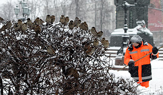 Зима устроила Москве опасный сюрприз Зима устроила Москве опасный сюрприз