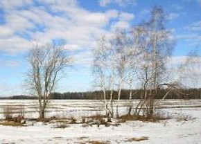 Насколько верно утверждение, что весна запаздывает?