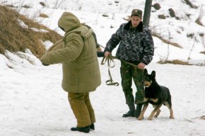 Кинологическая служба готовится к 100-летию Фото пресс-службы УВД по Брянской области