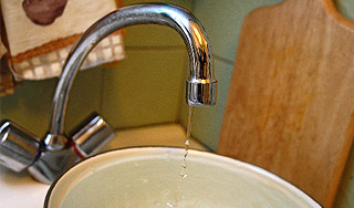 В водопроводной воде нашли червей В водопроводной воде нашли червей