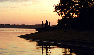 В Подмосковье гибнет водоем В Подмосковье гибнет водоем