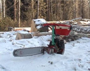 Деятельность похитителей леса пресечена