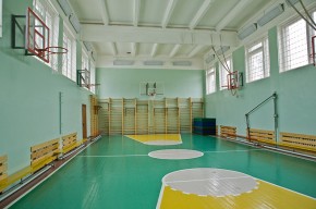 Только 10 брянских спортшкол имеют собственную спортивную базу