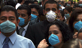 Свиной грипп захватил шесть стран мира Свиной грипп захватил шесть стран мира